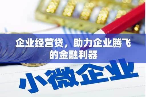 泰山企业经营贷，助力企业腾飞的金融利器