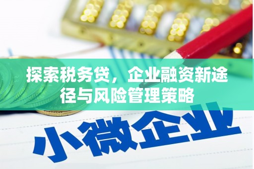 泰山探索税务贷，企业融资新途径与风险管理策略