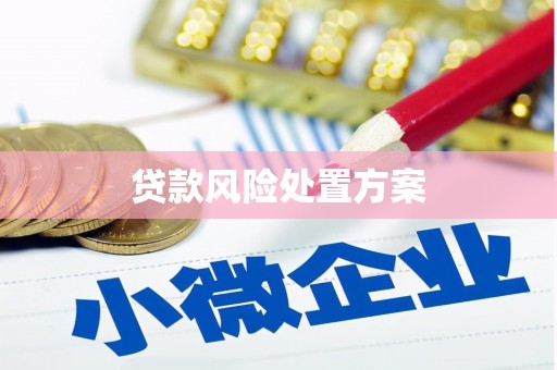 泰山贷款风险处置方案