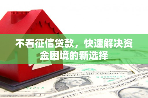 泰山不看征信贷款，快速解决资金困境的新选择