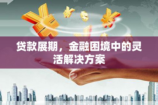 泰山贷款展期，金融困境中的灵活解决方案