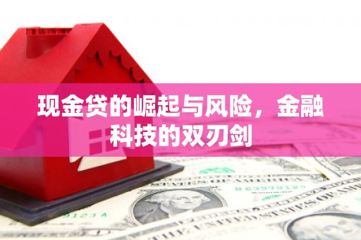 泰山现金贷的崛起与风险，金融科技的双刃剑