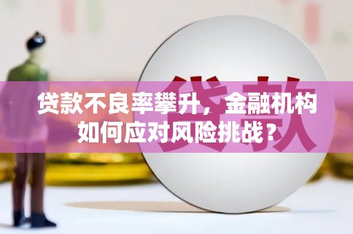 泰山贷款不良率攀升，金融机构如何应对风险挑战？