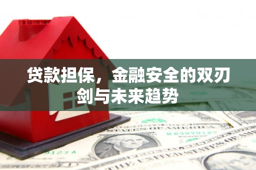 泰山贷款担保，金融安全的双刃剑与未来趋势