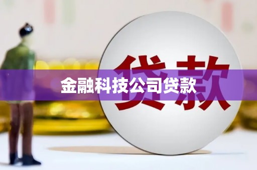 泰山金融科技公司贷款