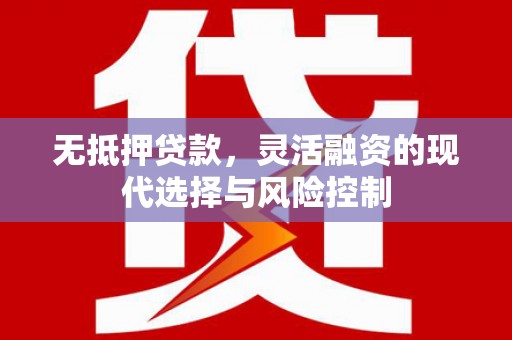 泰山无抵押贷款，灵活融资的现代选择与风险控制