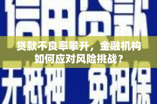 泰山贷款不良率攀升，金融机构如何应对风险挑战？