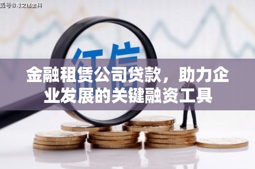泰山金融租赁公司贷款，助力企业发展的关键融资工具