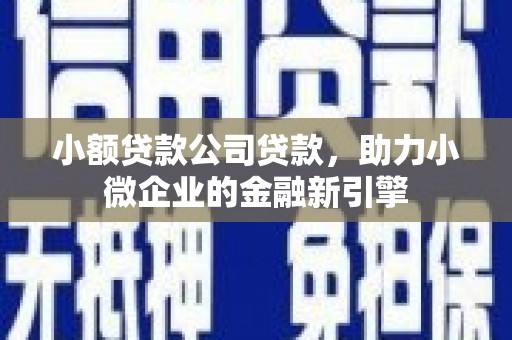 泰山小额贷款公司贷款，助力小微企业的金融新引擎