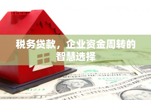 泰山税务贷款，企业资金周转的智慧选择