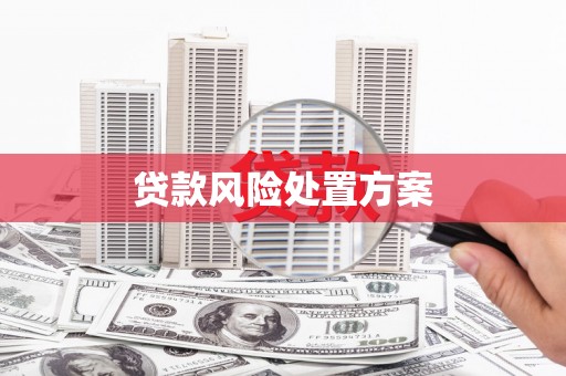 泰山贷款风险处置方案