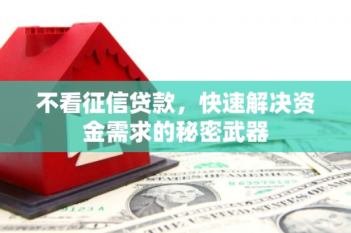 泰山不看征信贷款，快速解决资金需求的秘密武器