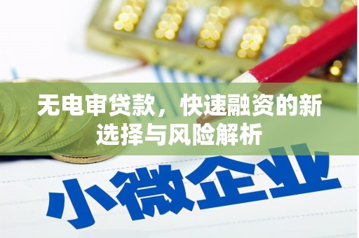 泰山无电审贷款，快速融资的新选择与风险解析