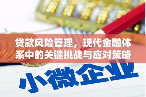 泰山贷款风险管理，现代金融体系中的关键挑战与应对策略