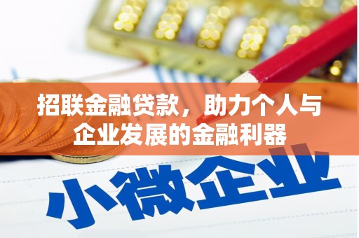 泰山招联金融贷款，助力个人与企业发展的金融利器