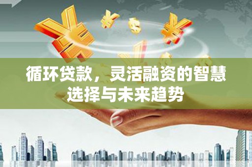 泰山循环贷款，灵活融资的智慧选择与未来趋势