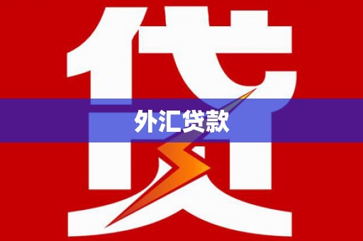 泰山外汇贷款