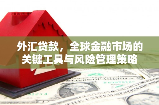 泰山外汇贷款，全球金融市场的关键工具与风险管理策略