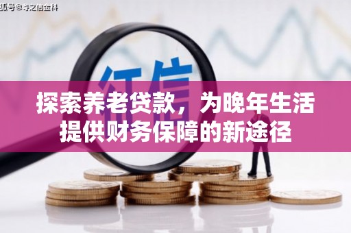 泰山探索养老贷款，为晚年生活提供财务保障的新途径