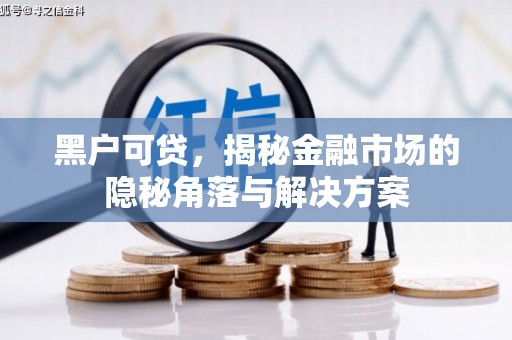 泰山黑户可贷，揭秘金融市场的隐秘角落与解决方案