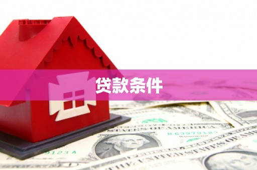泰山贷款条件