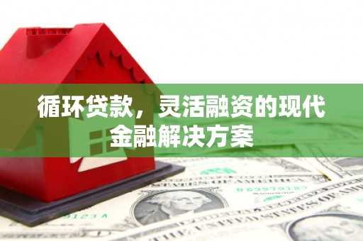 泰山循环贷款，灵活融资的现代金融解决方案