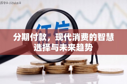 泰山分期付款，现代消费的智慧选择与未来趋势