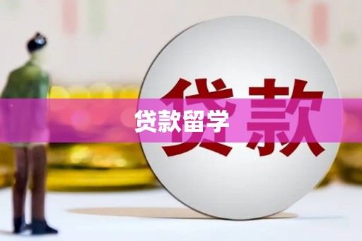 泰山贷款留学