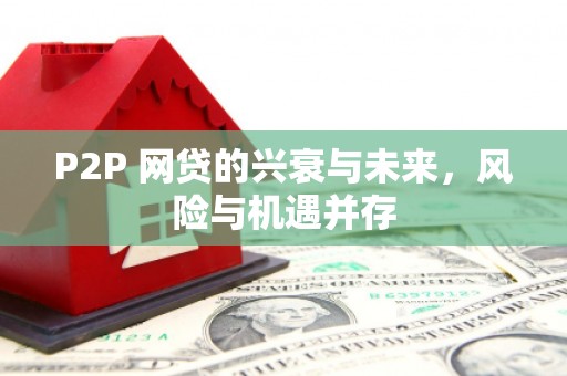 泰山P2P 网贷的兴衰与未来，风险与机遇并存