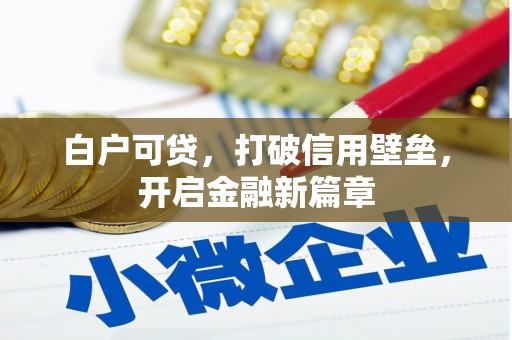泰山白户可贷，打破信用壁垒，开启金融新篇章