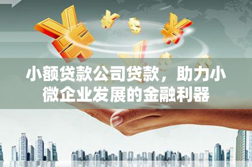 泰山小额贷款公司贷款，助力小微企业发展的金融利器