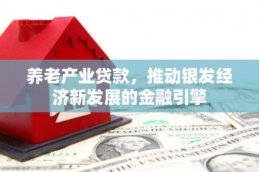 泰山养老产业贷款，推动银发经济新发展的金融引擎