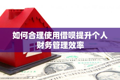 泰山如何合理使用借呗提升个人财务管理效率