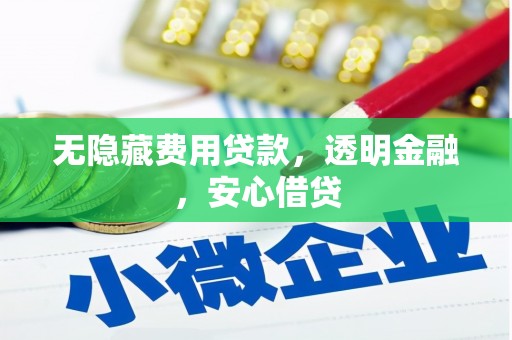 泰山无隐藏费用贷款，透明金融，安心借贷