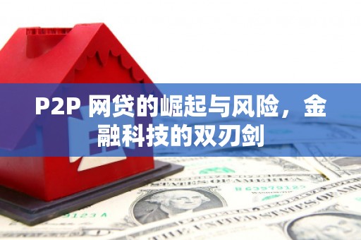 泰山P2P 网贷的崛起与风险，金融科技的双刃剑
