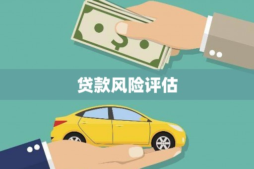 泰山贷款风险评估