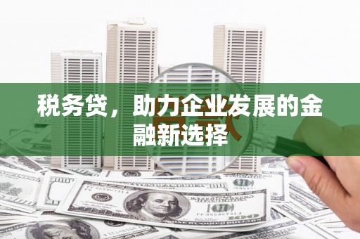 泰山税务贷，助力企业发展的金融新选择