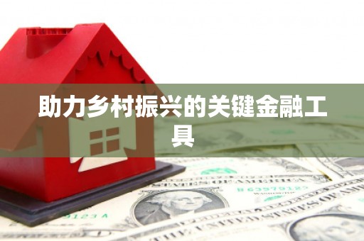 泰山助力乡村振兴的关键金融工具