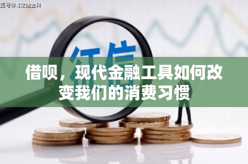 泰山借呗，现代金融工具如何改变我们的消费习惯