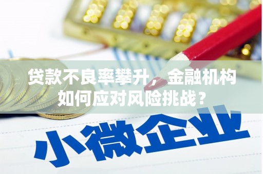 泰山贷款不良率攀升，金融机构如何应对风险挑战？