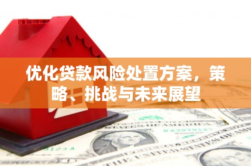 泰山优化贷款风险处置方案，策略、挑战与未来展望