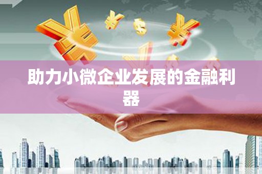 泰山助力小微企业发展的金融利器