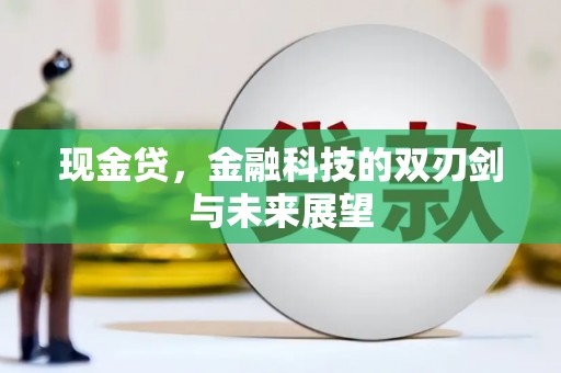 泰山现金贷，金融科技的双刃剑与未来展望