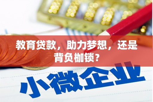 泰山教育贷款，助力梦想，还是背负枷锁？