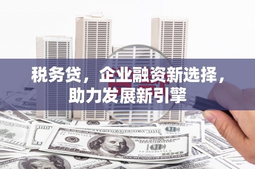 泰山税务贷，企业融资新选择，助力发展新引擎