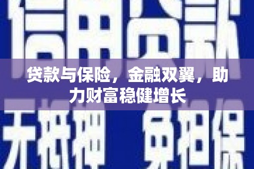 泰山贷款与保险，金融双翼，助力财富稳健增长