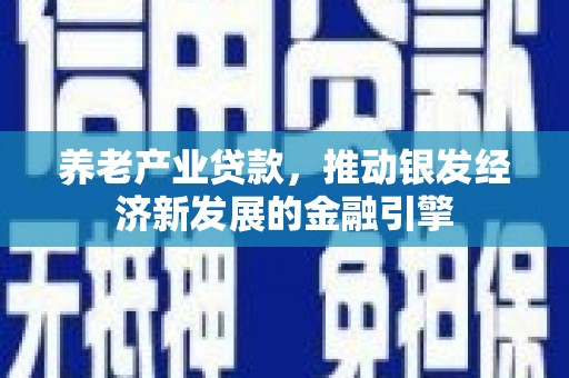 泰山养老产业贷款，推动银发经济新发展的金融引擎