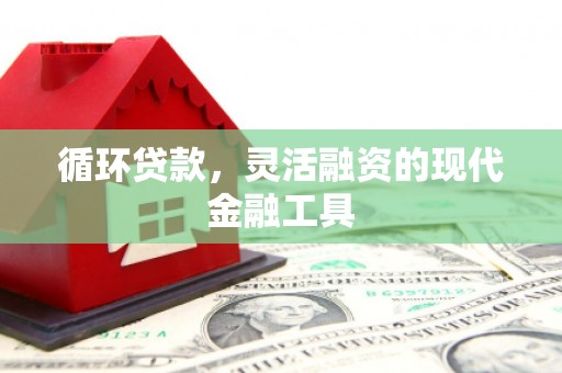 泰山循环贷款，灵活融资的现代金融工具