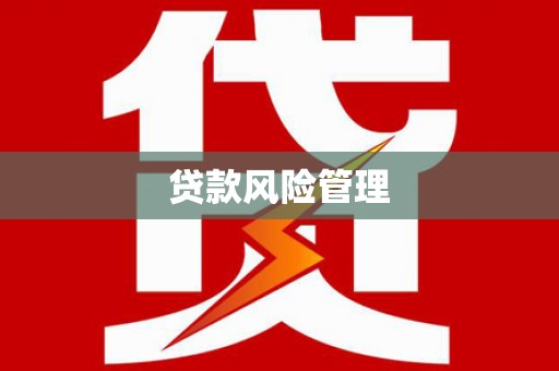 泰山贷款风险管理