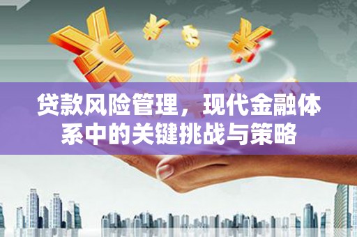 泰山贷款风险管理，现代金融体系中的关键挑战与策略